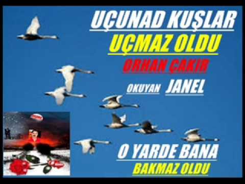 download lagu mp3 mp4 Ork Anako, download mp3 Ork Anako free download, download mp3 Ork Anako