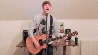 The Revolution - For The Foxes Cover