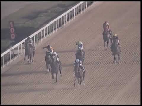 2019-02-22 Race 1(0157) - THE INVERNESS (Div 2)