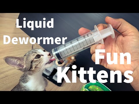 078 Kittens pet care , kittens liquid deworming