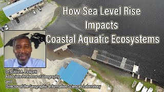 Sea Level Rise in North American Coastal Regions: Impacts upon Coastal Aquatic Ecosystems