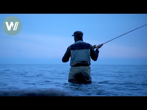 Die Muster des Meeres | Deutschlands Küsten - Die Ostsee (7/10)