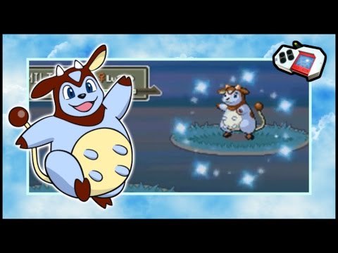 [LIVE] Shiny Miltank in Platinum after 40 Radar Chain!