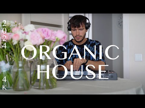 polyansky - organic progressive house mix 2024 (4k)