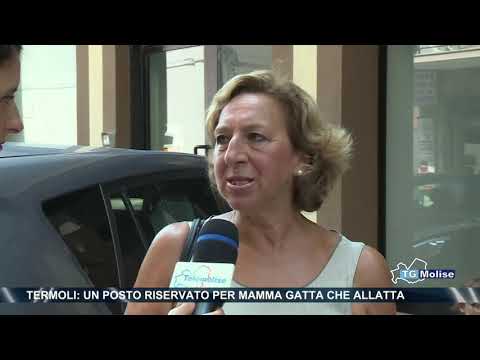 Termoli un posto riservato per mamma gatta che allatta
