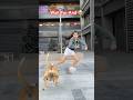 Wait For And Nandini091013 Dance Youtubeshorts Shorts Shortvideo