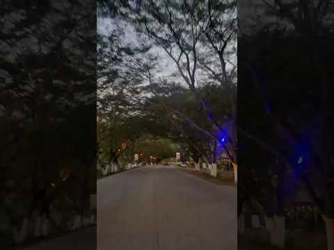 El Túnel de Guanacaste en Jesús de otoro Intibucá es mágico pasar por la noche  #tuneldeguanacaste