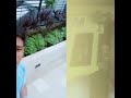 Kay Tagal Kang Hinintay