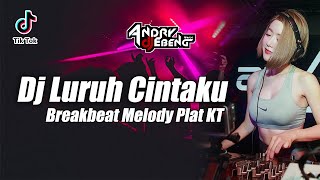 Download lagu DJ LURUH CINTAKU BREAKBEAT VIRAL TIKTOK TERBARU 2024 mp3
