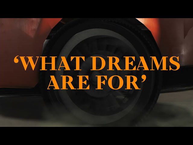 What Dreams Are For  - Thom Southern