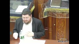 מאמר ד”ה ונחה עליו רוח ה' תשכ”ה חלק ד, הרב משה אליהו גוראריה שנת תשפ"ד