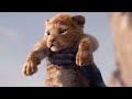 The Lion King 2019 Opening Scene The Circle Of Life I 4K Ultra HD
