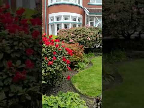Flowers near Joydeep's apartment