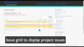 Software Issue Manager Pro WordPress Plugin – Summarize