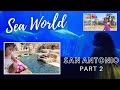 Seaworld San Antonio Pt 2 Sharks Dolphins Sealions Sesame Street Bay Of Play AshleyQuinnsMama