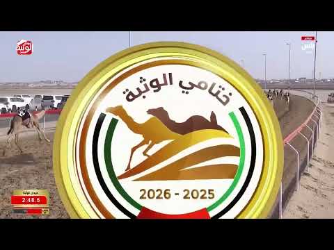 ش 14 (زناد) لـ احمد سلطان بالرشيد السويدي 5:46:07 ، مهرجان ختامي الوثبة 2026/03/01 حقايق