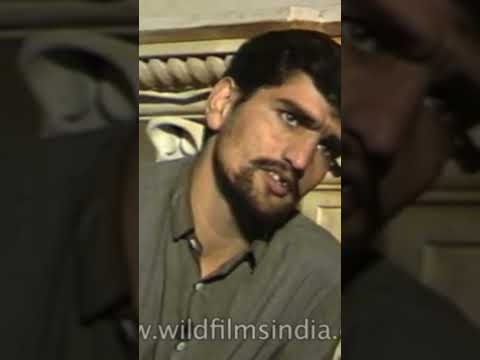 the Kashmir file ka real bitta karate