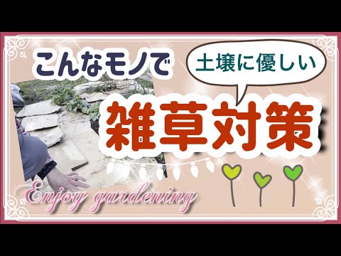 雑草を駆除する方法 厚いボール紙は干ばつを引き起こす 吸水性が低い