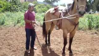 preview picture of video 'DAEE Hermanos LARA / PROALBA / Segundo avance del caballo Panchito'