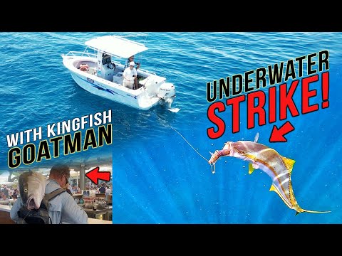 BIGGEST KINGFISH EVER?! Fishing Trip 3 with GOATMAN