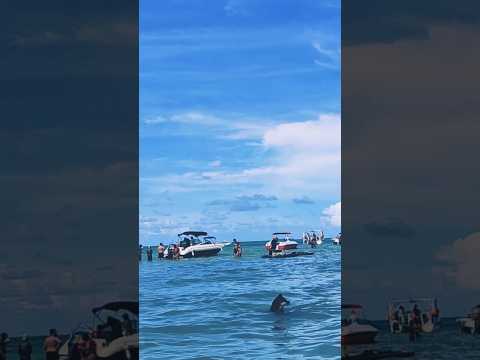 Praia de Barra Grande, Caminho de Moisés, Maragogi-AL