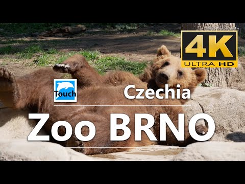 Tomáš Polášek and Robert Polasek - Touch of Greece