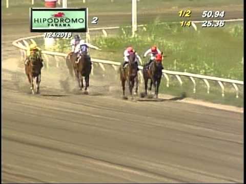 2DA CARRERA DOMINGO 24 DE ENERO 2016 HPR