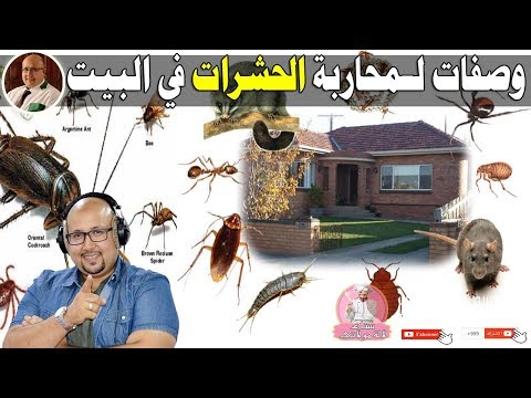 وصفات وطرق لمحاربة الحشرات في البيت - الدكتور عماد ميزاب imad mizab
