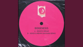 Bohdi's Dream (Infusion Remix)