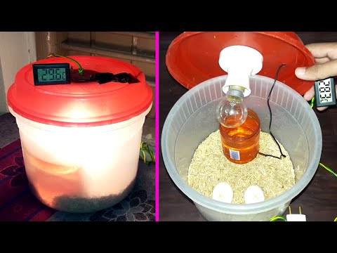 DIY-EGG INCUBATOR || HATCHING CHICKEN EGGS IN HOMEMADE INCUBATOR