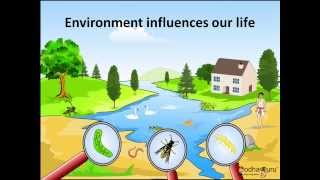 Science - What  are  Biotic and Abiotic Components of the Environment  - English