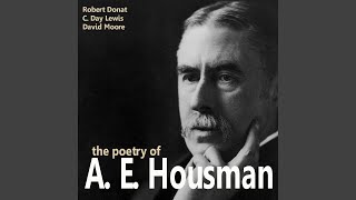 Soldier From The Wars Returning