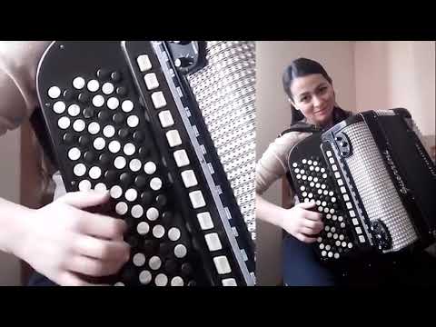 Danijela Predic - Laznicanka kolo - (LIVE)