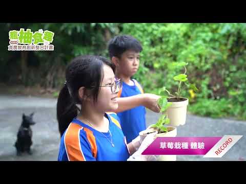 112年「瘋柚食趣」-草莓篇