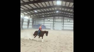 Video 1