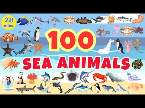 100 SEA ANIMALS for Kids | Aquatic Animals Names and Videos | English Vocabulary