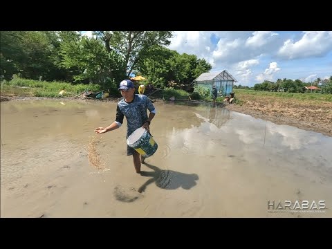 EP673-P1 - Pagsasabog ng Punla | Occ. Mindoro