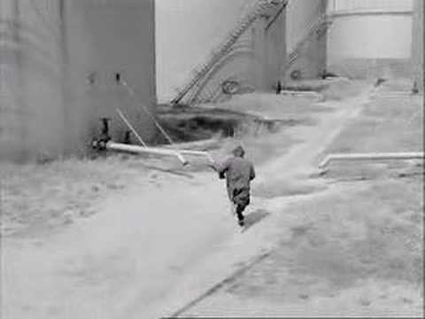 Meeuwen sterven in de haven