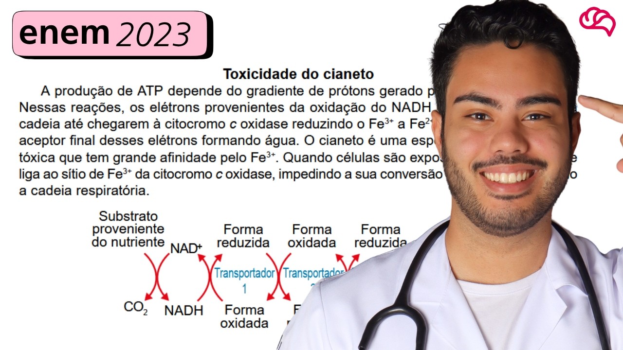 Resolução em Vídeo — Questão 127 ENEM 2023