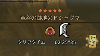 【モンハンワイルズ】竜谷の跡地のドシャグマ　大剣ソロ　2分25秒