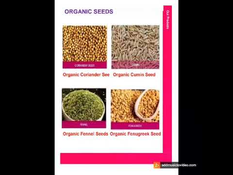 Brown whole organic dry clove, 1 kg