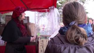 Le Limonaire des Chevaux de Bois