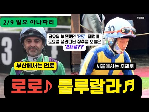 2/9 일요경마 -윤택-아나짜리 서울에서는 조재로 부산은 먼로 로로 세트조합??