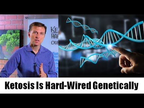 What is a Ketone Explained By Dr Berg