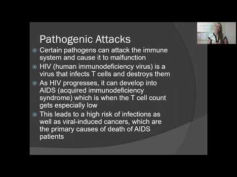 Immune System Malfunction