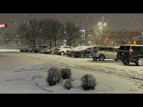 بث مباشر (٤)