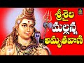 శివ అమృతవాణి శ్రీశైల మల్లన్న అమృత వా�