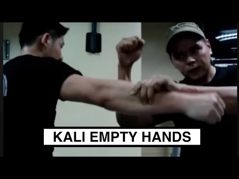 Kali Empty Hand Bridging Techniques