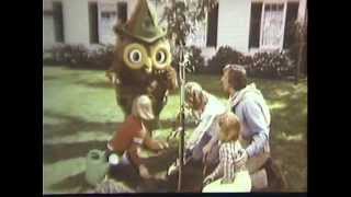 Give A Hoot Don't Pollute - Woodsy The Owl 1965-1985