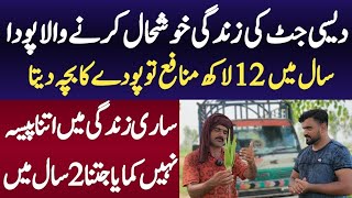 How to Earn Millions with Alovera Farming Business in Pakistan || Best Farming Business AloVera